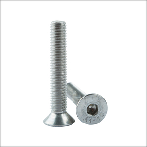 M 10x20 7991 A4 INOX HB IMBUS